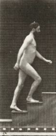 Plate 90 Ascending stairs — figure reference